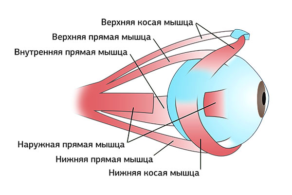 Как улучшить зрение в домашних условиях